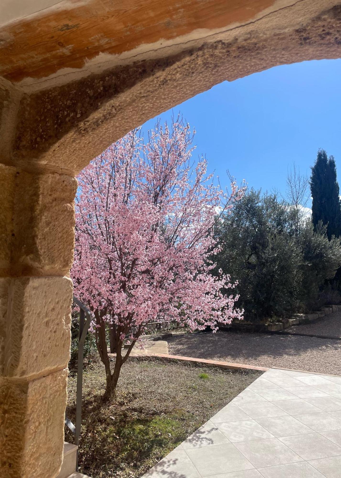 Maset Del Riu Guest House Valderrobres Exterior photo